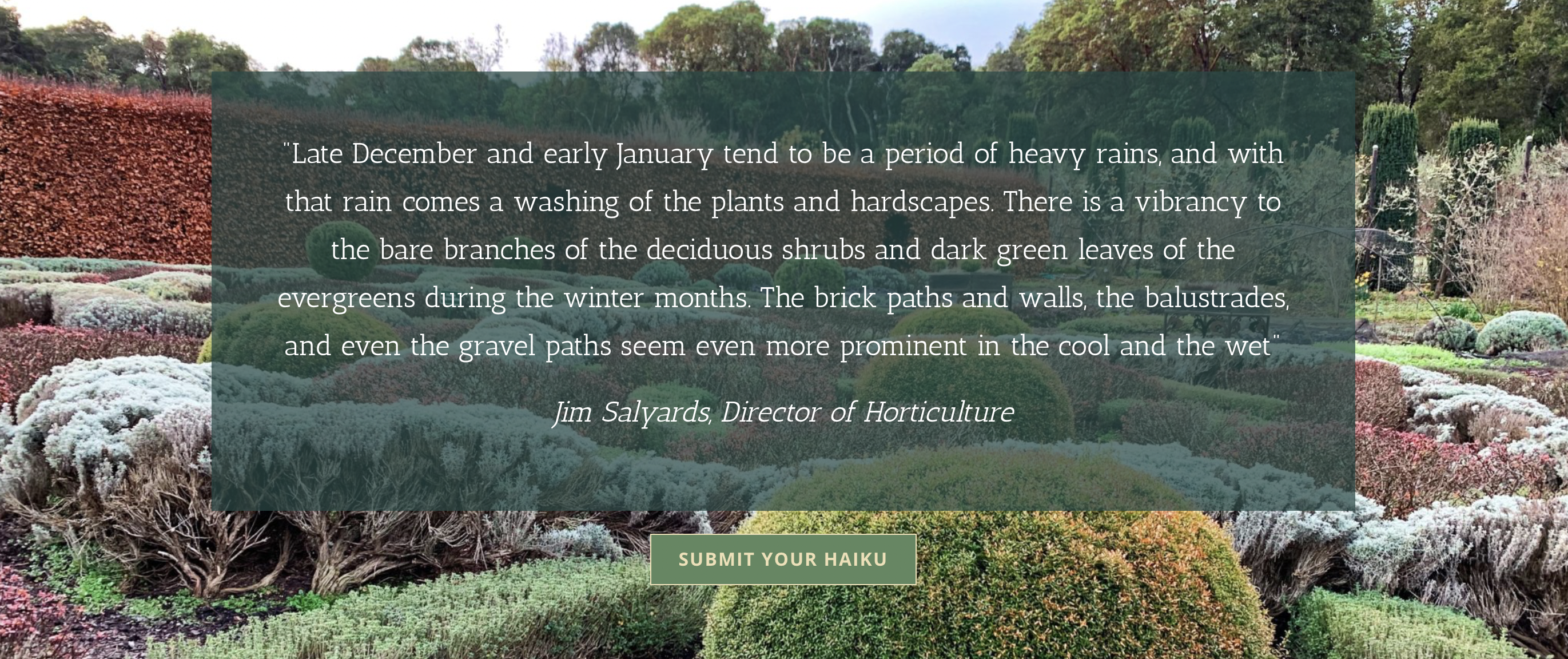 Screen Shot 2021-01-05 at 2.02.57 PM